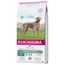 Eukanuba Daily Care Adult Sensitive Joints 12 kg