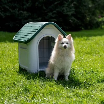 Cuccia per cani in plastica con tetto verde, posizionata in giardino. Un cane bianco è seduto accanto alla cuccia.