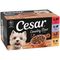 Cesar Country Stew Trays in Gravy Mixed Pack Saver Pack: 24 x 150g