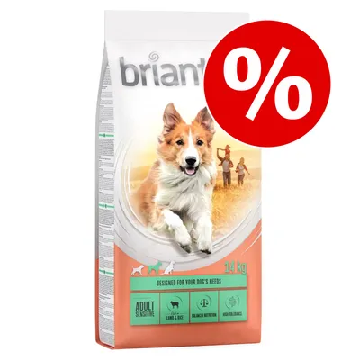 Sac hrană pentru câini briantos Adult Sensitive, miel & orez, 14 kg, inscripții: Designed for your dog's needs, Balanced nutrition, High tolerance. Simbol procent de reducere pe fundal roșu.