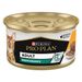PURINA PRO PLAN Adult Maintenance 24 x 85 g umido per gatto Pollo