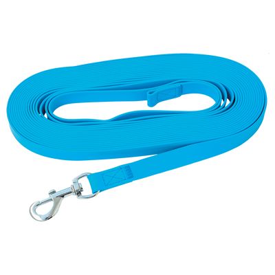 Longe Petlando Strong, bleu pour chien L 10 m x l 2 cm