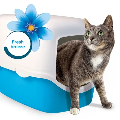 Chat gris sortant d'une maison de toilette bleue et blanche pour chat, texte visible : Fresh breeze avec une fleur bleue sur le dessus du bac.