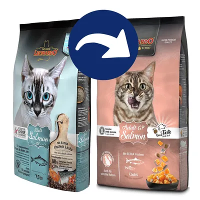 Leonardo Adult GF Salmon Katzenfutter, Rezeptur ohne Getreide, mit extra frischem Lachs. Auch für sensible Katzen geeignet. Super Premium Qualität.
