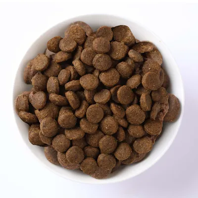 Ciotola con crocchette marroni, rotonde in primo piano. Ciotola con crocchette marroni, rotonde in primo piano.
