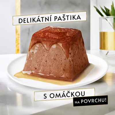 Delikátní paštika s omáčkou na povrchu, zobrazená na talíři. Text: DELIKÁTNÍ PAŠTIKA, S OMÁČKOU NA POVRCHU!