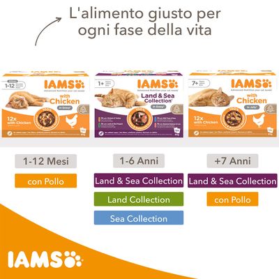 Tre confezioni IAMS per gatti: 1-12 mesi con pollo, 1-6 anni Land & Sea Collection, oltre 7 anni con pollo. Testo: L'alimento giusto per ogni fase della vita. Opzioni visibili per età e gusti.