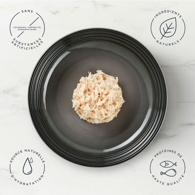 Boîte de sachets encore kitten, 5 x 50 g, 3 x filet de thon, 2 x blanc de poulet, ingrédients naturels, avec photo d’un chaton et visuel du produit en gelée.