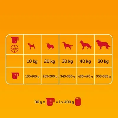 Pedigree Adult con Manzo e Verdure - 2 x 12 kg
