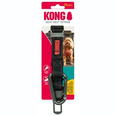 KONG Veiligheidsgordel - L 29 x B 7,5 x H 2,5 cm