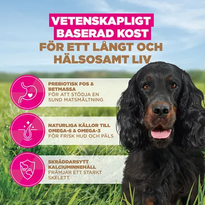 Eukanuba Grain Free Adult All Breeds Venison - 12 kg
