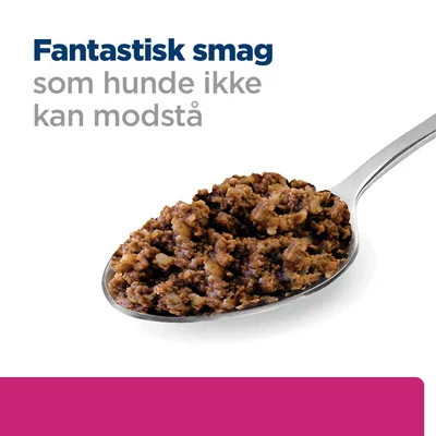 Fantastisk smag som hunde ikke kan modstå, tekst over ske med vådfoder til hunde