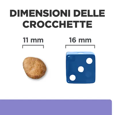 Dimensioni delle crocchette: 11 mm, confronto con un dado da 16 mm. Testo visibile: 'DIMENSIONI DELLE CROCCHETTE', '11 mm', '16 mm'.