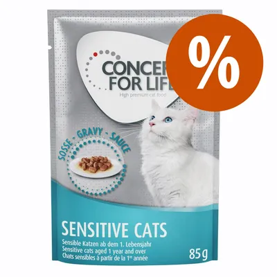 Concept for Life Sensitive Cats, Nassfutter in Soße für sensible Katzen ab dem 1. Lebensjahr, 85g Packung mit Rabattkennzeichnung.
