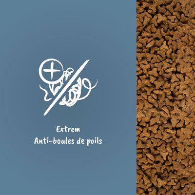 Croquettes en gros plan avec texte : Extrem Anti-boules de poils, symbole anti-boules de poils dessiné en blanc sur fond bleu.