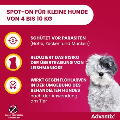 Advantix Spot-On für kleine Hunde von 4 bis 10 kg. Schützt vor Parasiten, reduziert Risiko der Leishmaniose-Übertragung, wirkt gegen Flohlarven. Nicht bei Katzen anwenden.