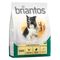 Briantos Senior mit Geflügel und Reis 1 kg