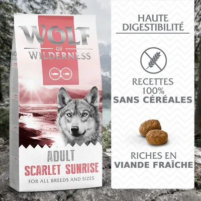 Wolf of Wilderness Adult Scarlet Sunrise, haute digestibilité, recettes 100 % sans céréales, riches en viande fraîche. Croquettes visibles à droite du paquet.