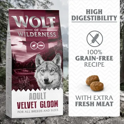 Wolf of Wilderness Adult Velvet Gloom pre všetky plemená a veľkosti. Vysoká stráviteľnosť, 100 % bez obilnín, s extra čerstvým mäsom. Zobrazené granule. Wolf of Wilderness Adult Velvet Gloom pre všetky plemená a veľkosti. Vysoká stráviteľnosť, 100 % bez obilnín, s extra čerstvým mäsom. Zobrazené granule.