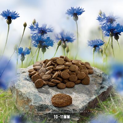 Brown round kibble pieces displayed on a rock with a size scale showing 10–11mm diameter, set against a background of blue flowers.