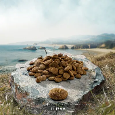 Trockenfutter in brauner Farbe auf Stein, mit Größenangabe 11-13 mm. Hintergrund zeigt Landschaft mit Meer und Hügeln.