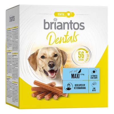 Briantos Dental snacks pour chien Mini (2 x 56 friandises)