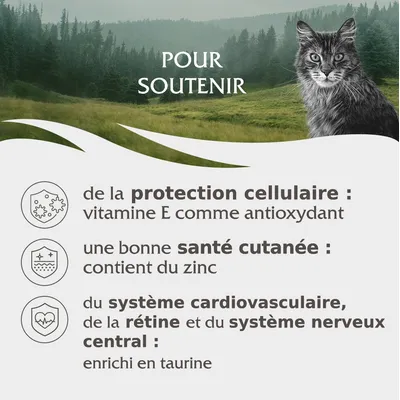 Pour soutenir : protection cellulaire avec vitamine E, santé cutanée avec zinc, système cardiovasculaire, rétine et système nerveux central enrichi en taurine.