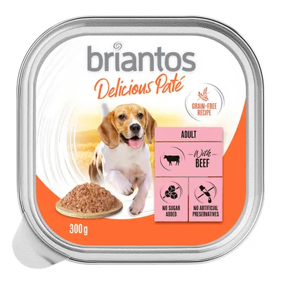 briantos Delicious Paté, recette sans céréales, 300 g, adulte, avec bœuf, sans sucre ajouté, sans conservateurs artificiels, pâtée pour chien visible sur l’emballage