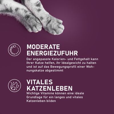 Moderate Energiezufuhr: Angepasster Kalorien- und Fettgehalt für das Idealgewicht von Wohnungskatzen. Vitales Katzenleben: Wichtige Vitamine fördern ein langes, gesundes Katzenleben.