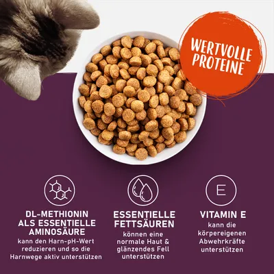 Trockenfutter mit wertvollen Proteinen. DL-Methionin unterstützt Harnwege, essentielle Fettsäuren fördern Haut und Fell, Vitamin E stärkt Abwehrkräfte.