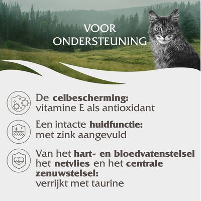Voor ondersteuning: celbescherming met vitamine E, huidfunctie met zink, hart- en bloedvaten, netvlies en zenuwstelsel verrijkt met taurine.