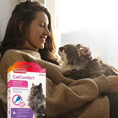 Beaphar CatComfort welzijns-Spot-On voor katten, kalmeert bij stress. Verpakking toont productdetails en een kat. 3x1 week gebruik.