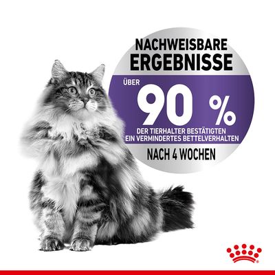 Tekst na njemačkom: Nachweisbare Ergebnisse. Über 90 % der Tierhalter bestätigten ein vermindertes Bettelverhalten nach 4 Wochen. Prikazana mačka i Royal Canin simbol.