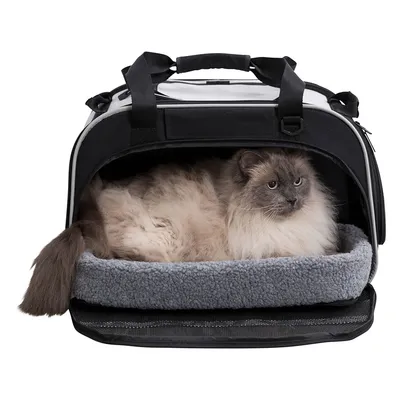 Transport bag with soft grey lying surface and a cat inside. Bag with carrying handles and zip opening. Transport bag with soft grey lying surface and a cat inside. Bag with carrying handles and zip opening.