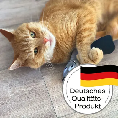 Deutsches Qualitäts-Produkt (texte en allemand) avec drapeau allemand, visible sur l’image d’un chat roux allongé au sol tenant un jouet gris.