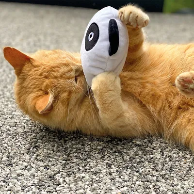 Röd katt leker med vitt tygleksak i panda-design på en grå matta.