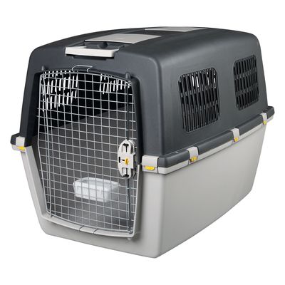 Transportín Gulliver Trixie IATA para perros 7: 104 x 73 x 75 cm (LxAnxAl)