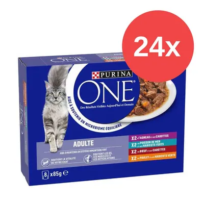 Purina ONE Adult Katzenfutter, 24x 85g. Sorten: Lamm mit Karotten, Fisch mit grünen Bohnen, Rind mit Karotten, Huhn mit grünen Bohnen. Unterstützt Immunsystem und Vitalität.