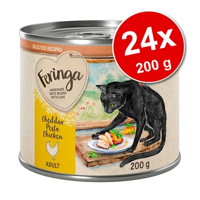 Feringa Cheddar Pesto Chicken ADULT, boîte 200 g avec illustration de chat noir et plat, lot 24x200 g indiqué en rouge. Texte anglais : Homemade taste begins with love.