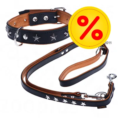 Sort og brun hundesnor og halsbånd i læder med metalstjerner og nitter. Stor gul cirkel med rød procenttegn indikerer tilbud eller rabat. Sort og brun hundesnor og halsbånd i læder med metalstjerner og nitter. Stor gul cirkel med rød procenttegn indikerer tilbud eller rabat.