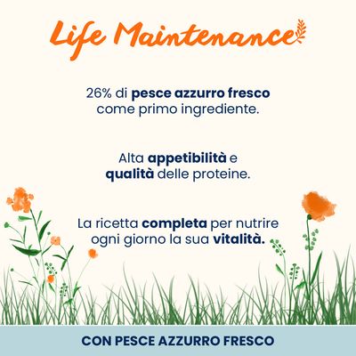 Almo Nature Functional Life Maintenance Pesce Azzurro & Riso