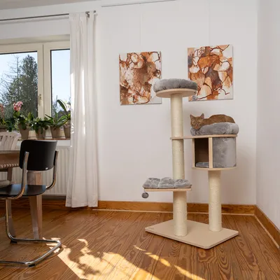 Arbre à chat en bois clair avec griffoirs en sisal, plateformes et niche recouvertes de tissu gris, un chat allongé sur la plateforme supérieure.