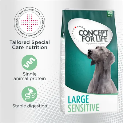 Concept for Life Large Sensitive