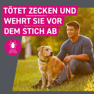 Frontline® TRI-ACT Hunde S (5 - 10 kg)