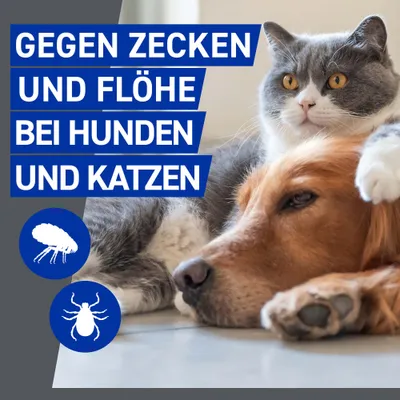 Frontline® Spray für Hund & Katze - 100 ml