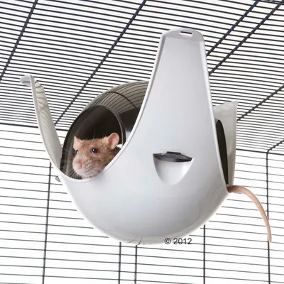Rat in a white plastic hammock attached to a cage grid. Suitable as a sleeping place or hiding spot for small animals.
