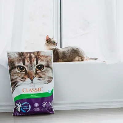Katzenstreu Classic Pine Forest z potrójnym działaniem, odpowiedni do kontroli zapachu i łatwego czyszczenia. Opakowanie z motywem kota.