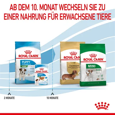 Royal Canin Napomena: Od 10. mjeseca prijeđite s hrane za štence (2-10 mjeseci) na hranu za odrasle pse. Prikazano: Mini Puppy, Dachshund Adult, Mini Adult.