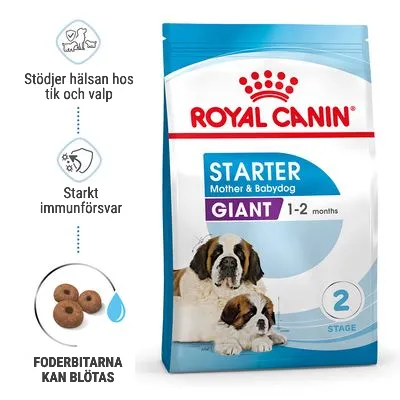 Royal Canin Starter Mother & Babydog Giant 1–2 months. Stödjer hälsan hos tik och valp, starkt immunförsvar, foderbitarna kan blötas. Bild på förpackning med två hundar.