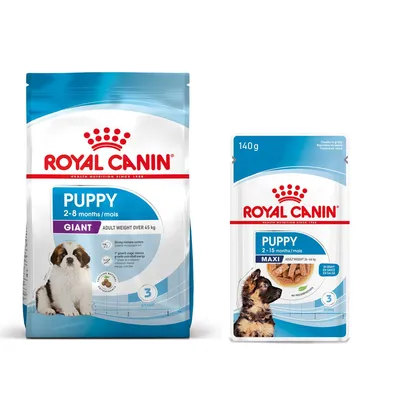 Royal Canin Size 3,5 à 15 kg pour chien + aliment humide : 15 % de remise ! - Giant Puppy (15 kg) + sachets Maxi Puppy en sauce pour chiot (10 x 140 g)